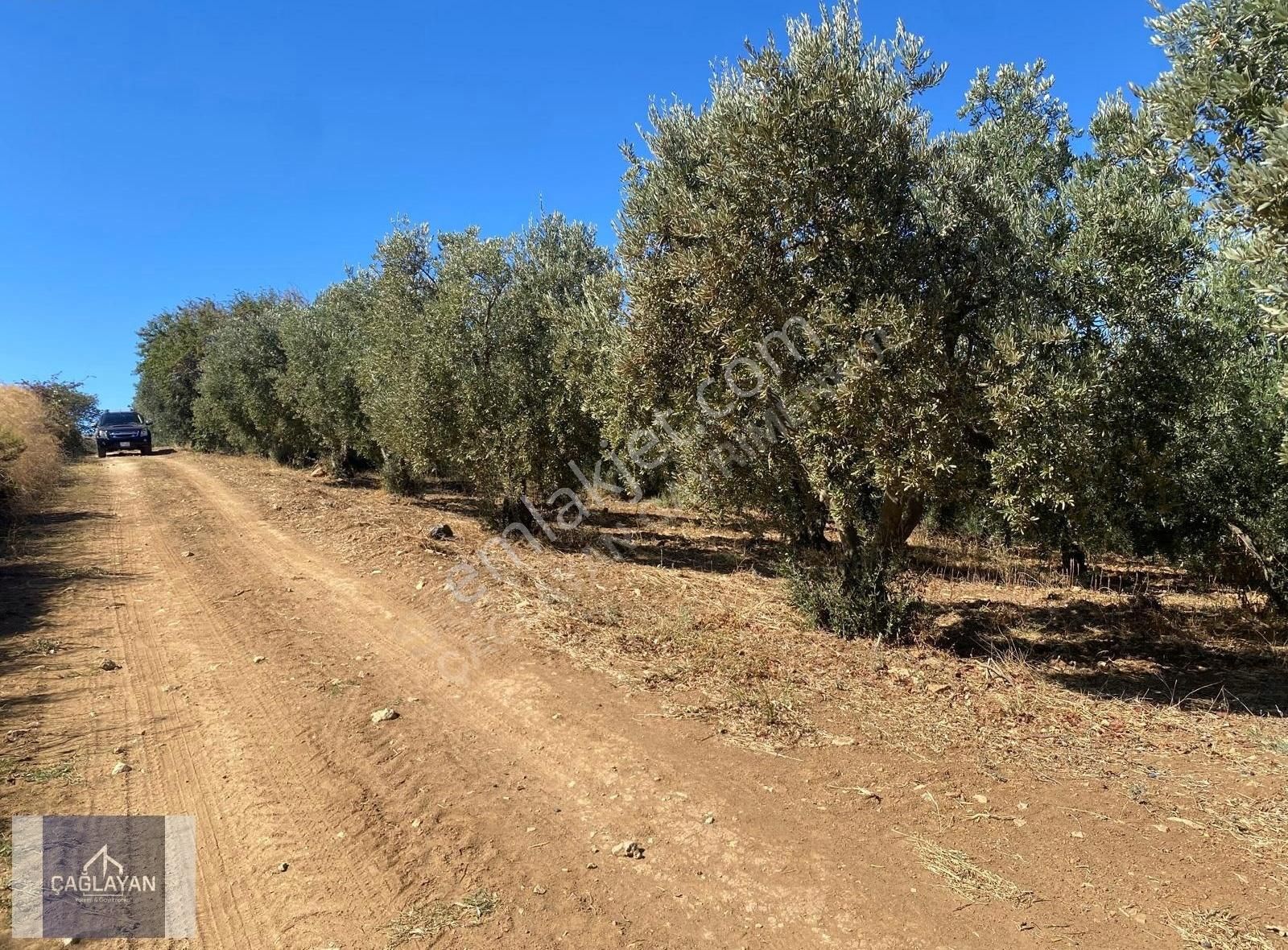 Mudanya Eğerce'de 4500 M'2 Deniz Manzaralı Satılık Tarla - Görsel 10