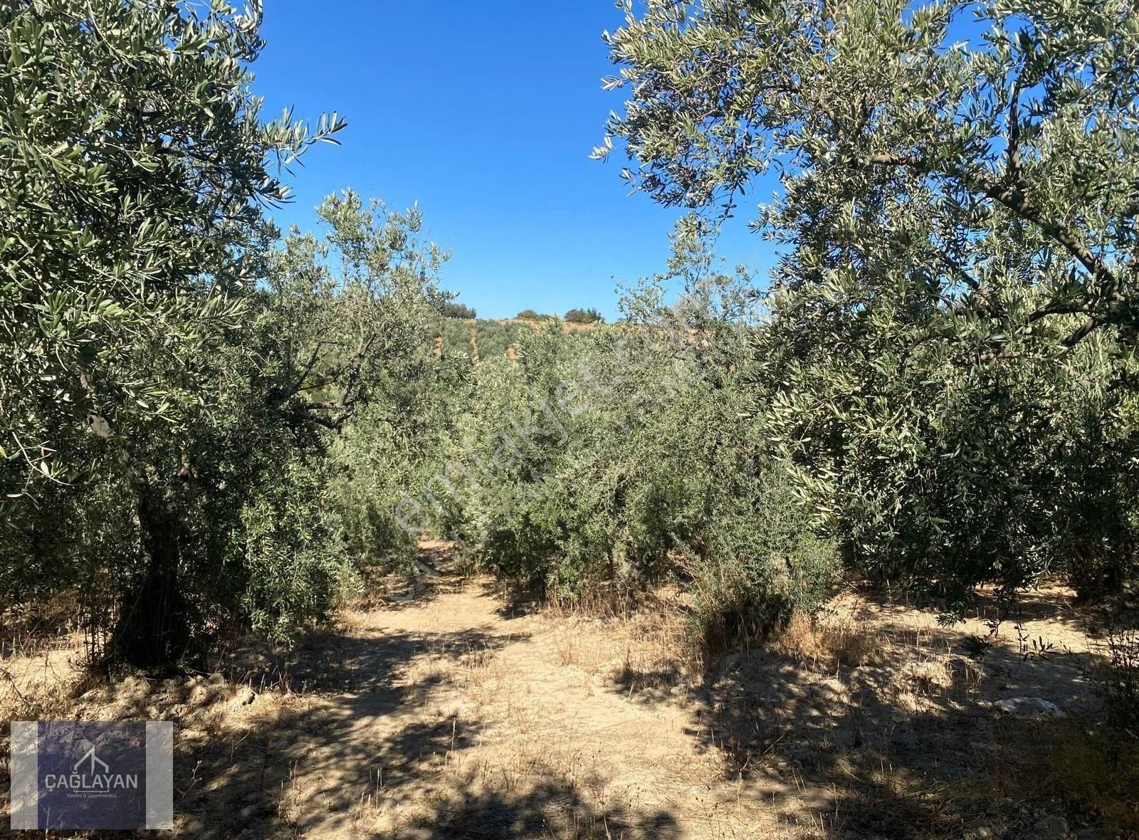 Mudanya Eğerce'de 4500 M'2 Deniz Manzaralı Satılık Tarla - Görsel 3