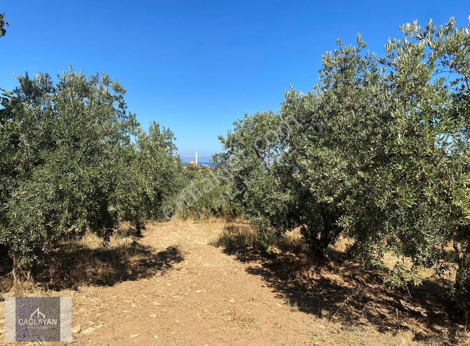 Mudanya Eğerce'de 4500 M'2 Deniz Manzaralı Satılık Tarla - Görsel 8