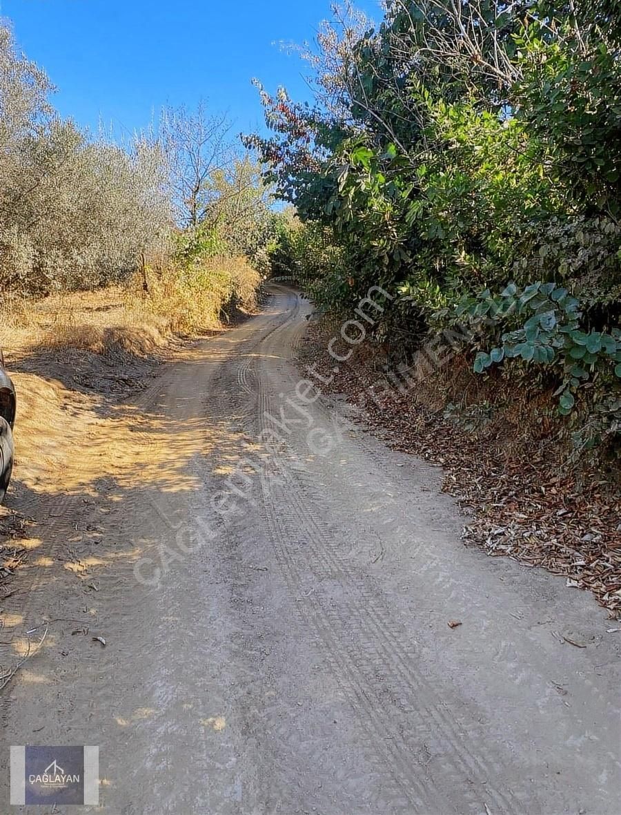 Mudanya Eğerce'de 850 M'2 Müstakil Tapulu Satılık Tarla - Görsel 4