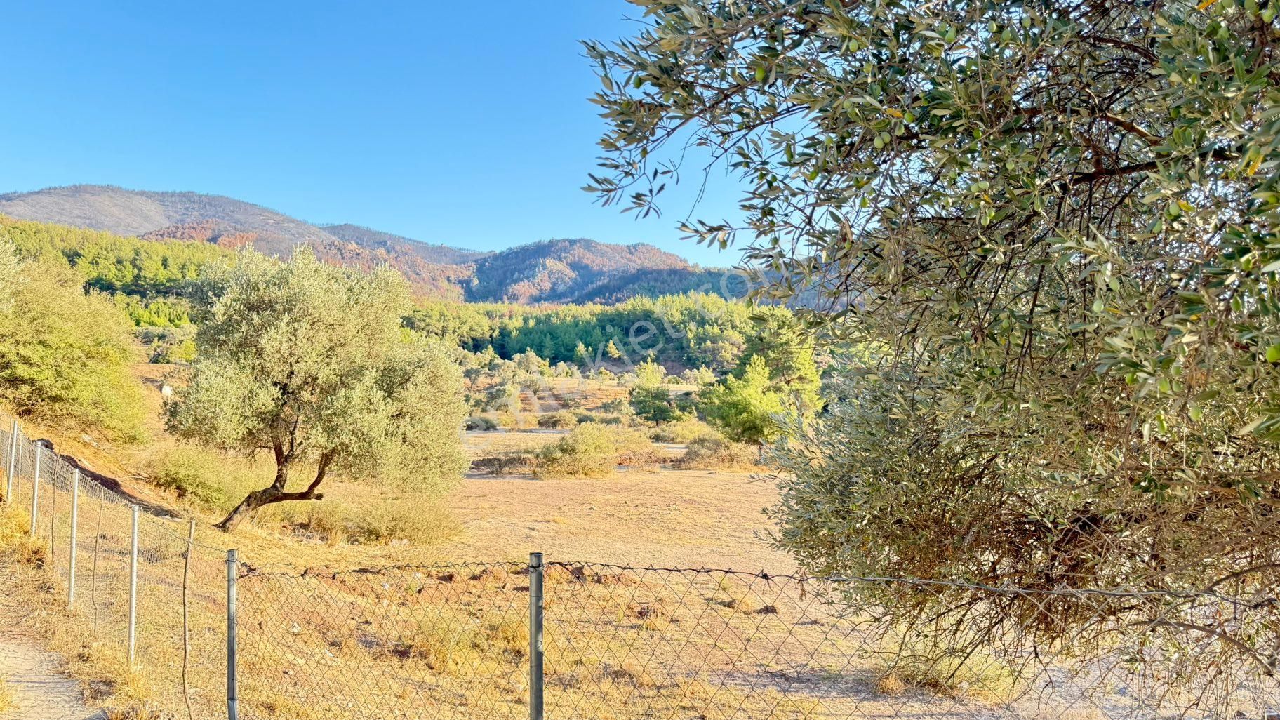 Rw Akar Seferihisar Orhanlı Köy Girişinde Hobi Bahçesi Fiyatına Köy İçi İmarlı Arsa - Görsel 3