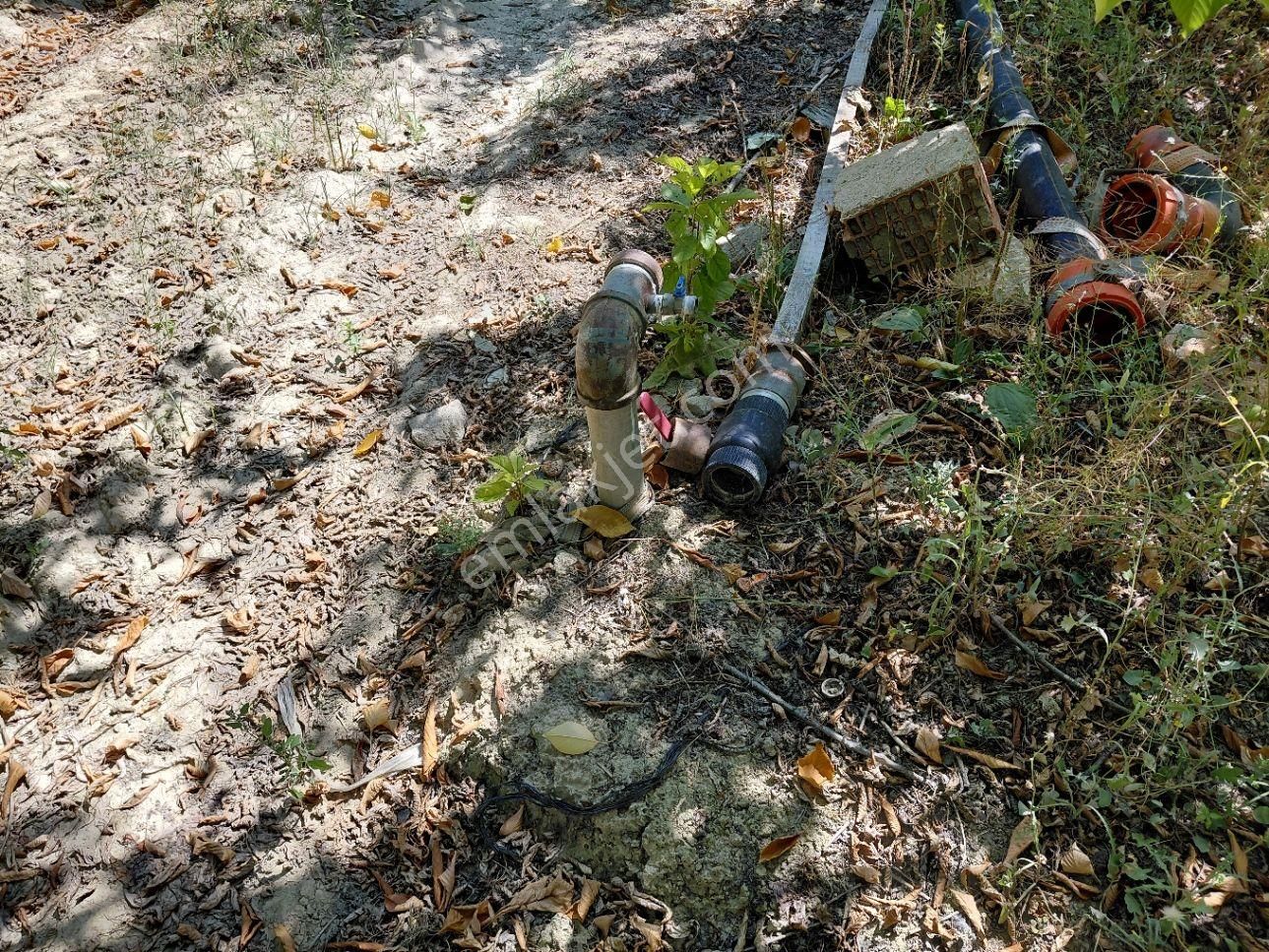 Bizim Emlaktan Atakent Derin Kuyusu Elektriği Mevcut Kiraz Bahçesi - Görsel 7