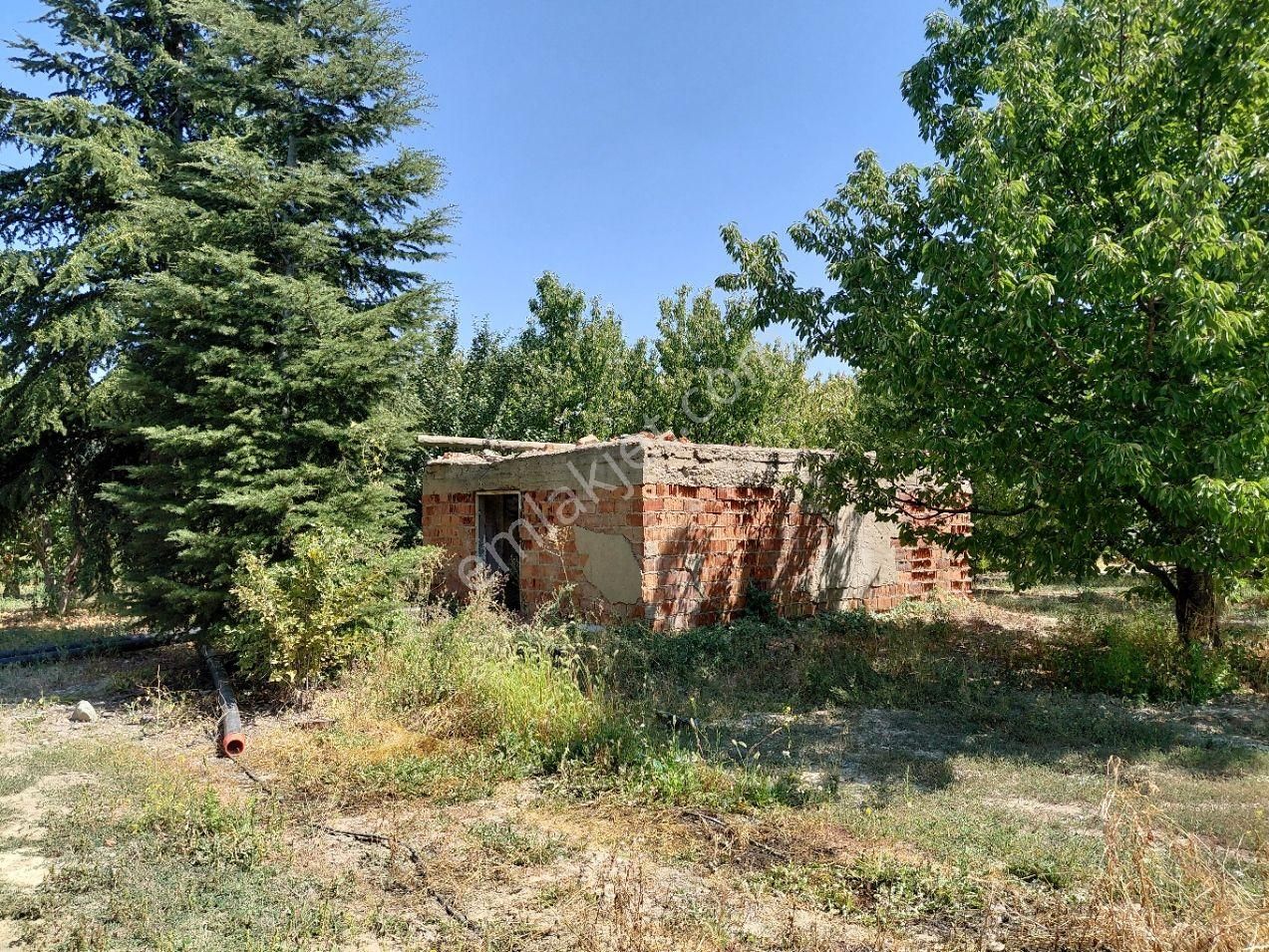 Bizim Emlaktan Atakent Derin Kuyusu Elektriği Mevcut Kiraz Bahçesi