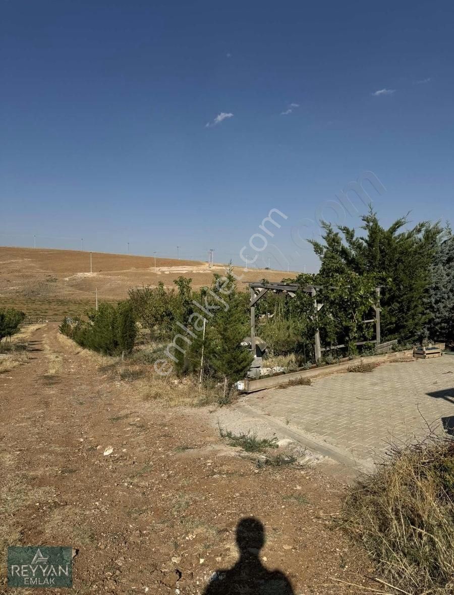 Meram Çayırbağı Kurulu Düzen Bahçe Evi Elektirik Su Var - Görsel 34