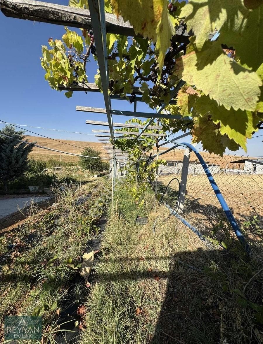 Meram Çayırbağı Kurulu Düzen Bahçe Evi Elektirik Su Var - Görsel 32