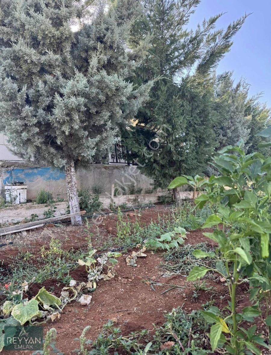 Meram Çayırbağı Kurulu Düzen Bahçe Evi Elektirik Su Var - Görsel 31