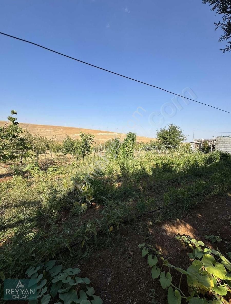 Meram Çayırbağı Kurulu Düzen Bahçe Evi Elektirik Su Var