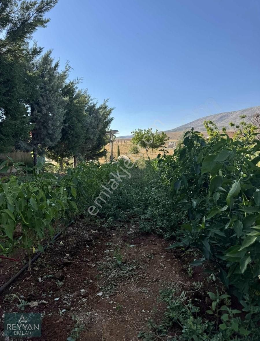 Meram Çayırbağı Kurulu Düzen Bahçe Evi Elektirik Su Var - Görsel 16