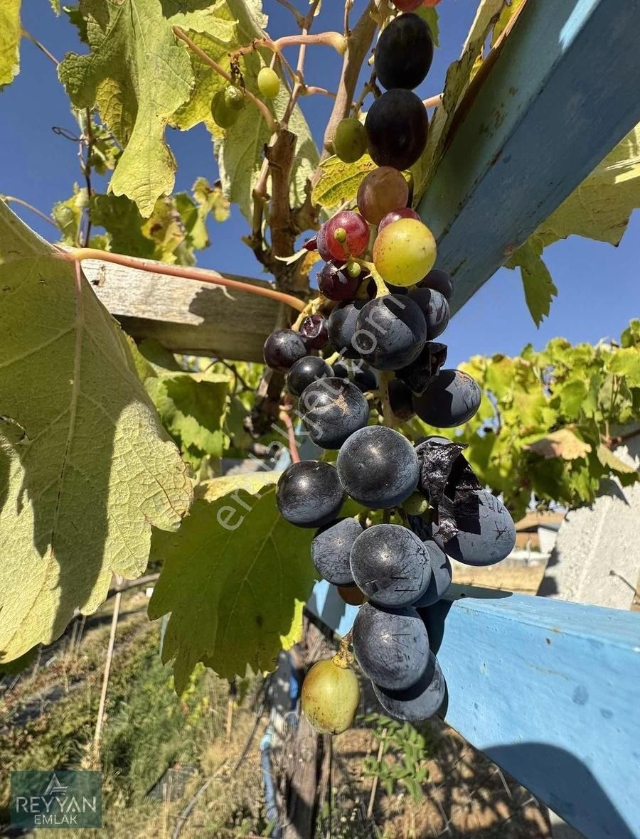 Meram Çayırbağı Kurulu Düzen Bahçe Evi Elektirik Su Var - Görsel 12