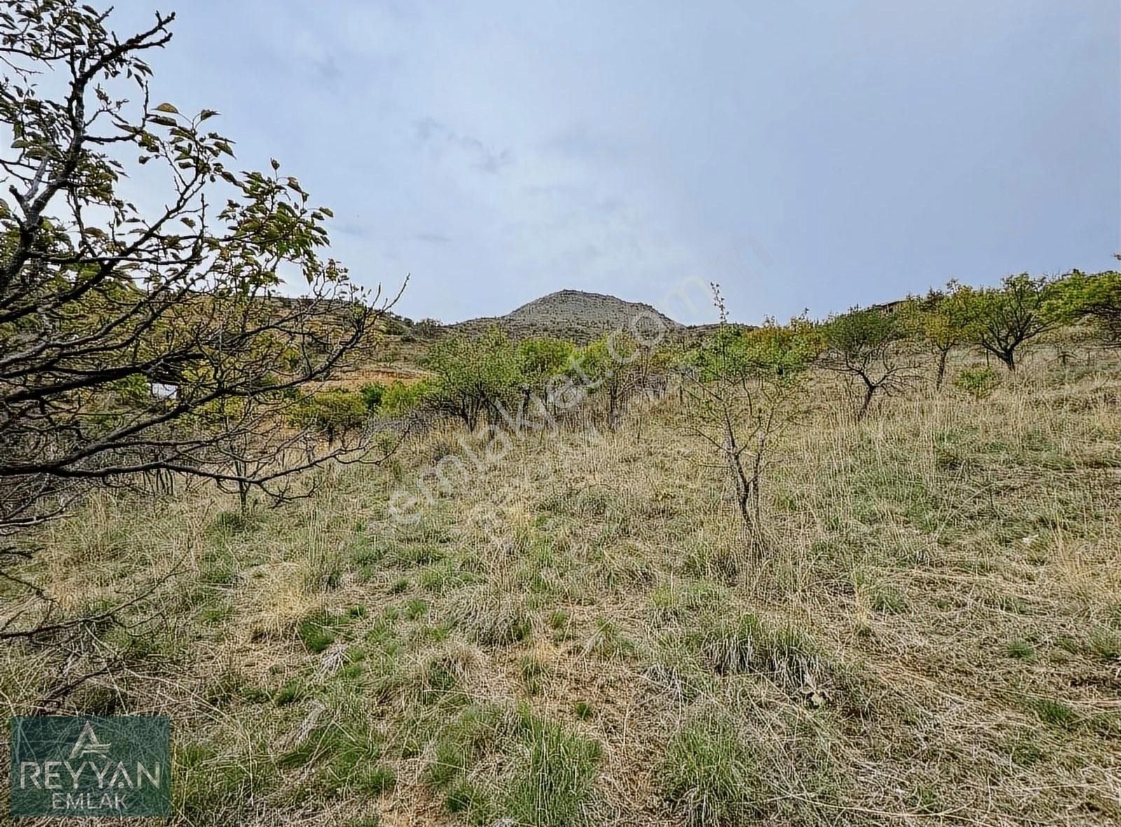 Sulutas'ta 5.777m² Müstakil Asfalt'a Cephe - Güzel Konum!! - Görsel 13