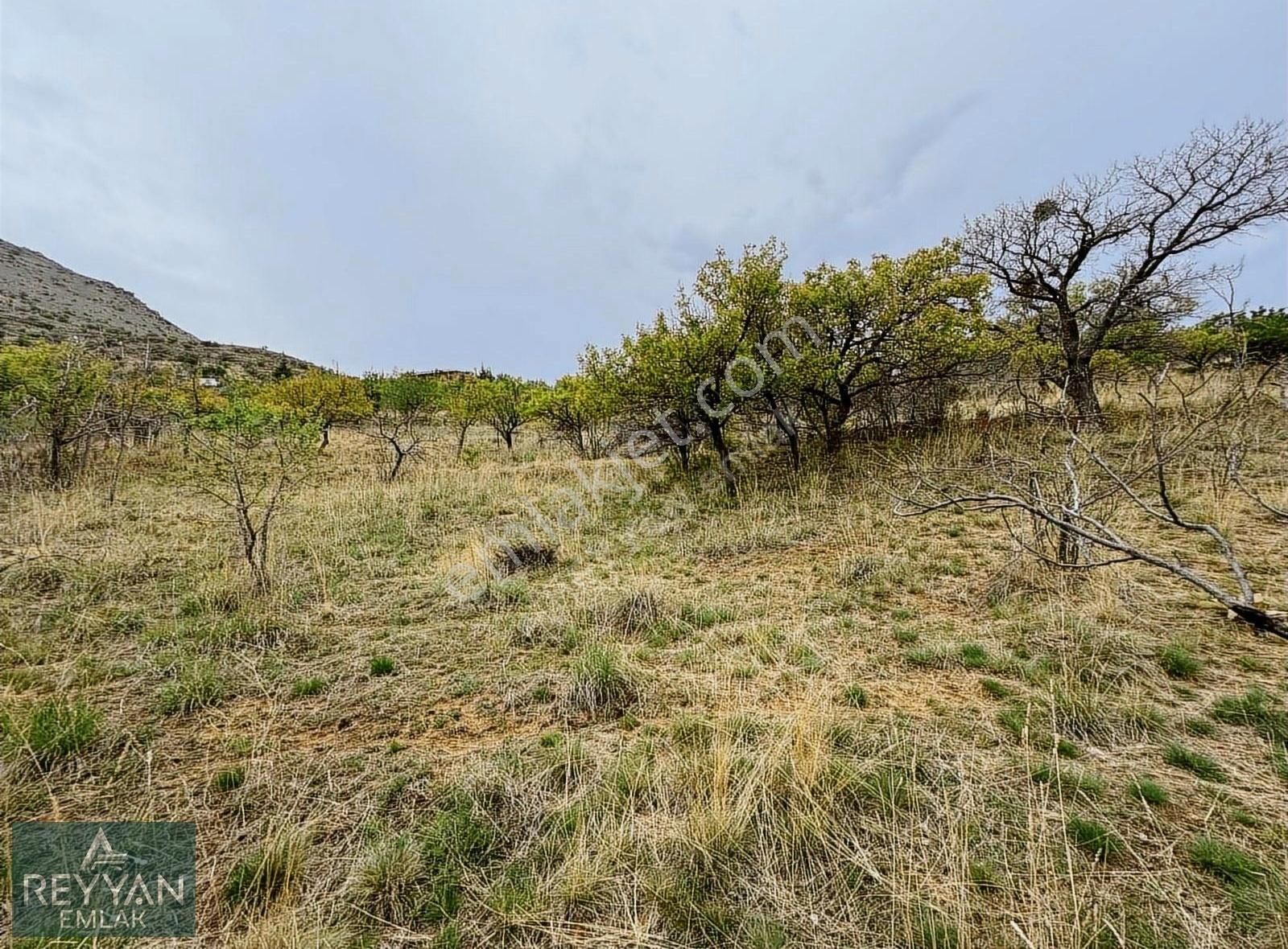 Sulutas'ta 5.777m² Müstakil Asfalt'a Cephe - Güzel Konum!! - Görsel 15