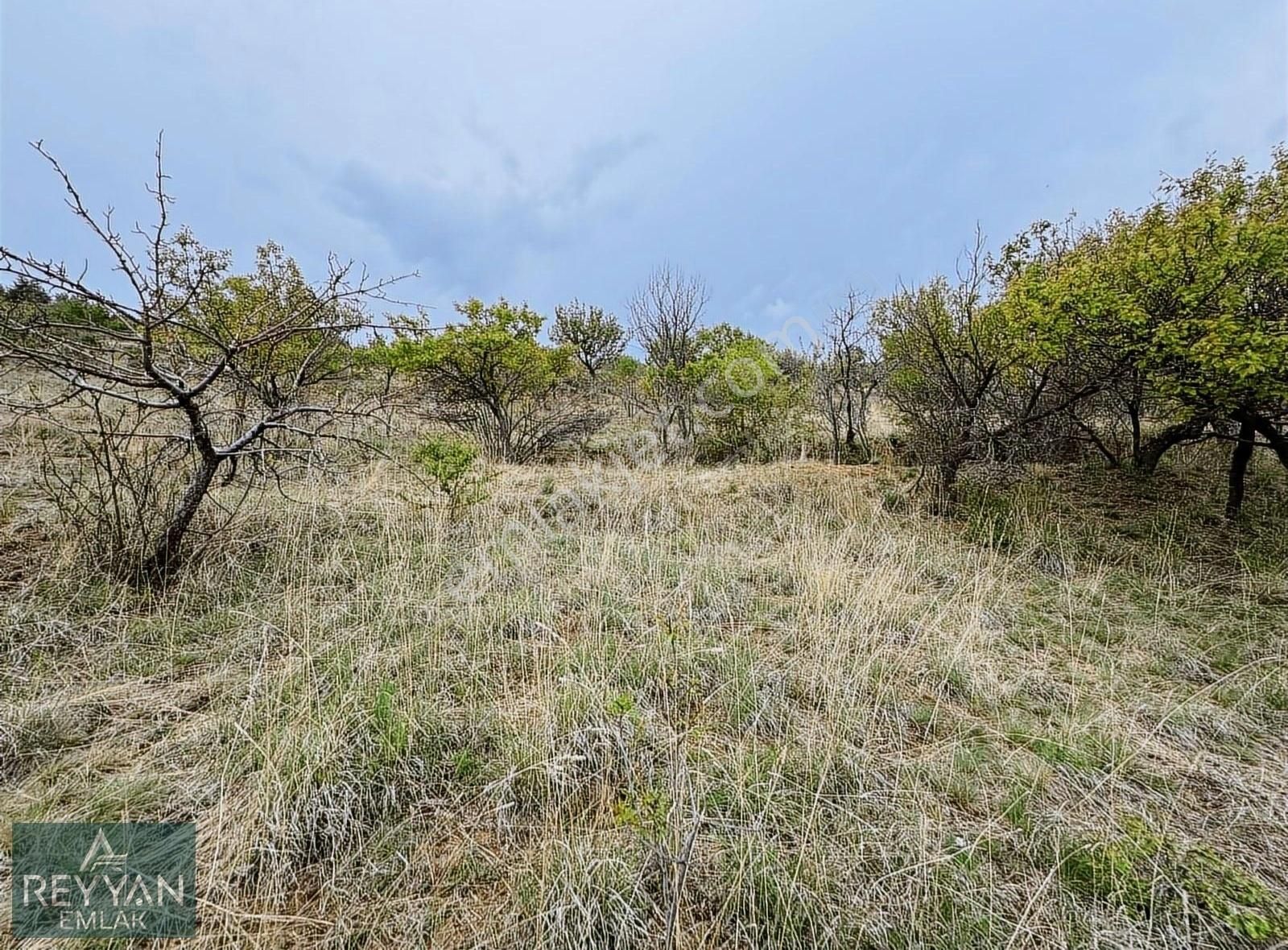 Sulutas'ta 5.777m² Müstakil Asfalt'a Cephe - Güzel Konum!! - Görsel 10