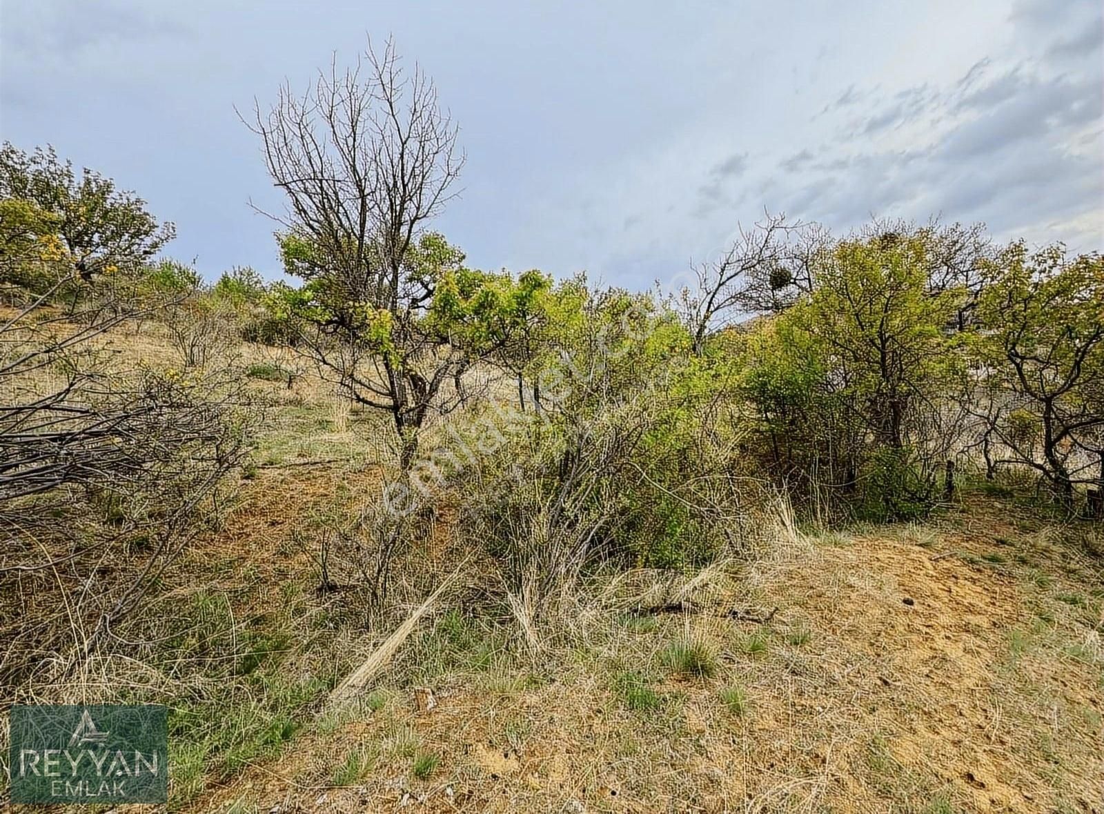 Sulutas'ta 5.777m² Müstakil Asfalt'a Cephe - Güzel Konum!! - Görsel 35