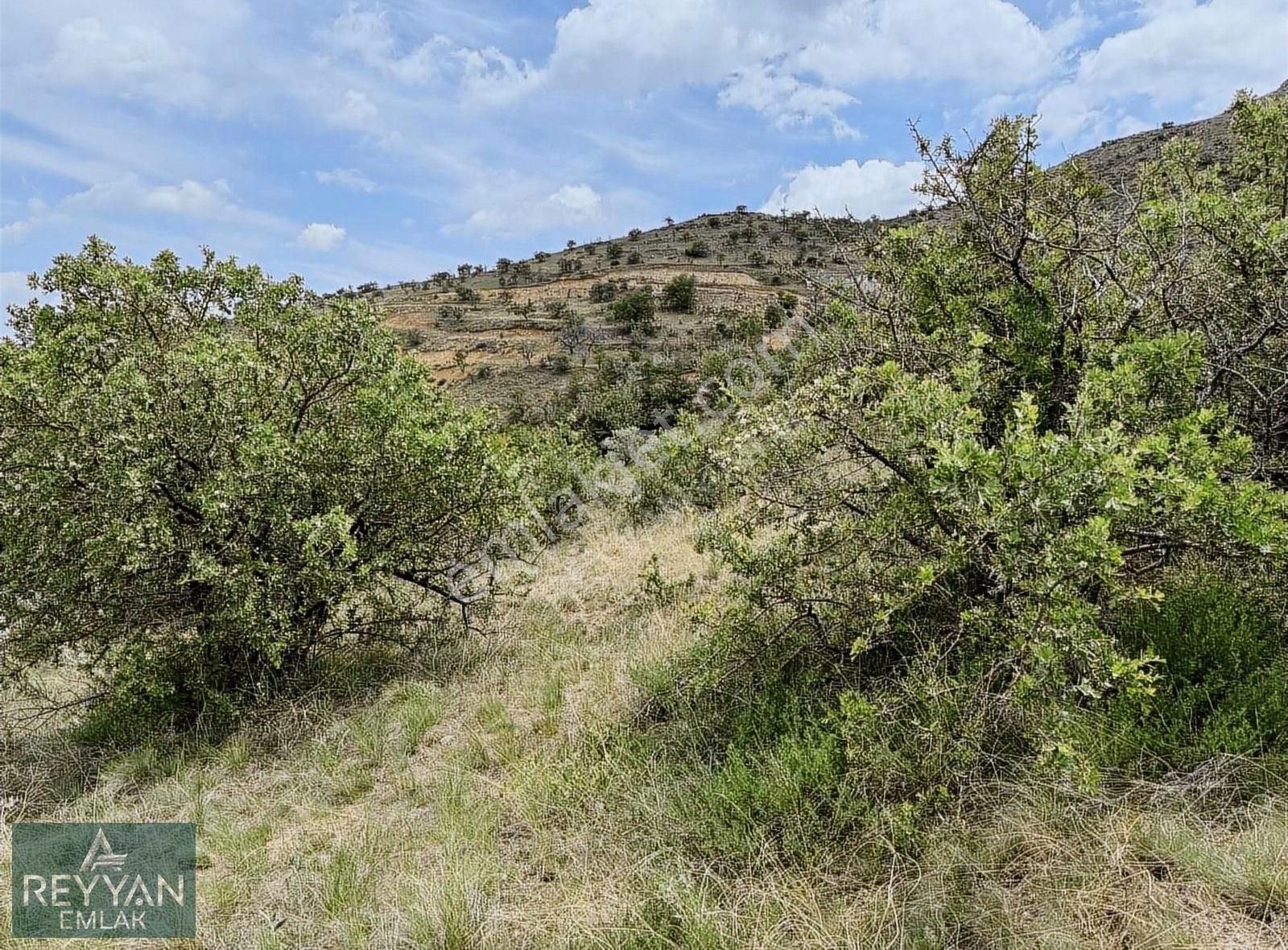 Sulutas'ta 5.777m² Müstakil Asfalt'a Cephe - Güzel Konum!! - Görsel 28