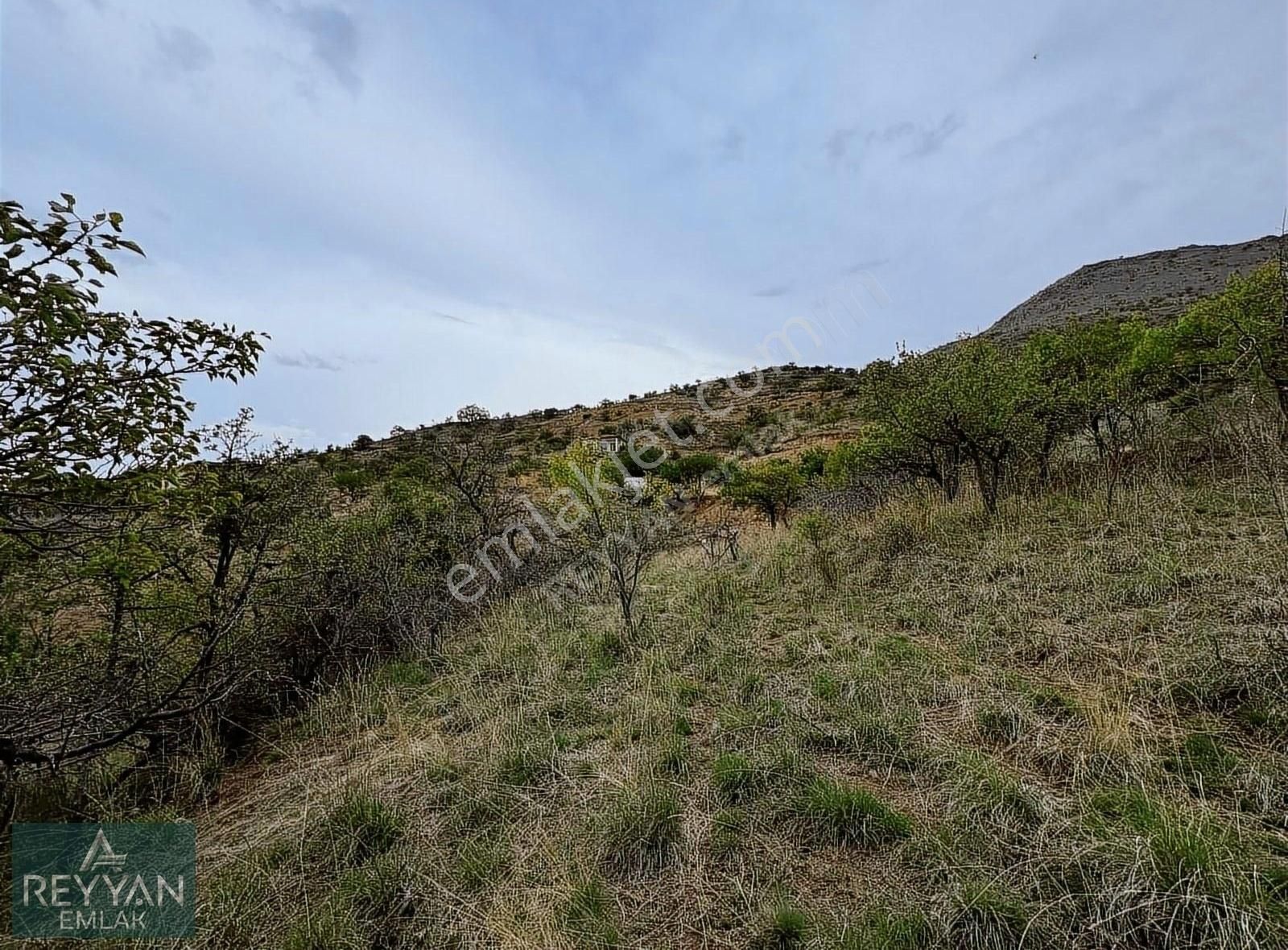 Sulutas'ta 5.777m² Müstakil Asfalt'a Cephe - Güzel Konum!! - Görsel 3