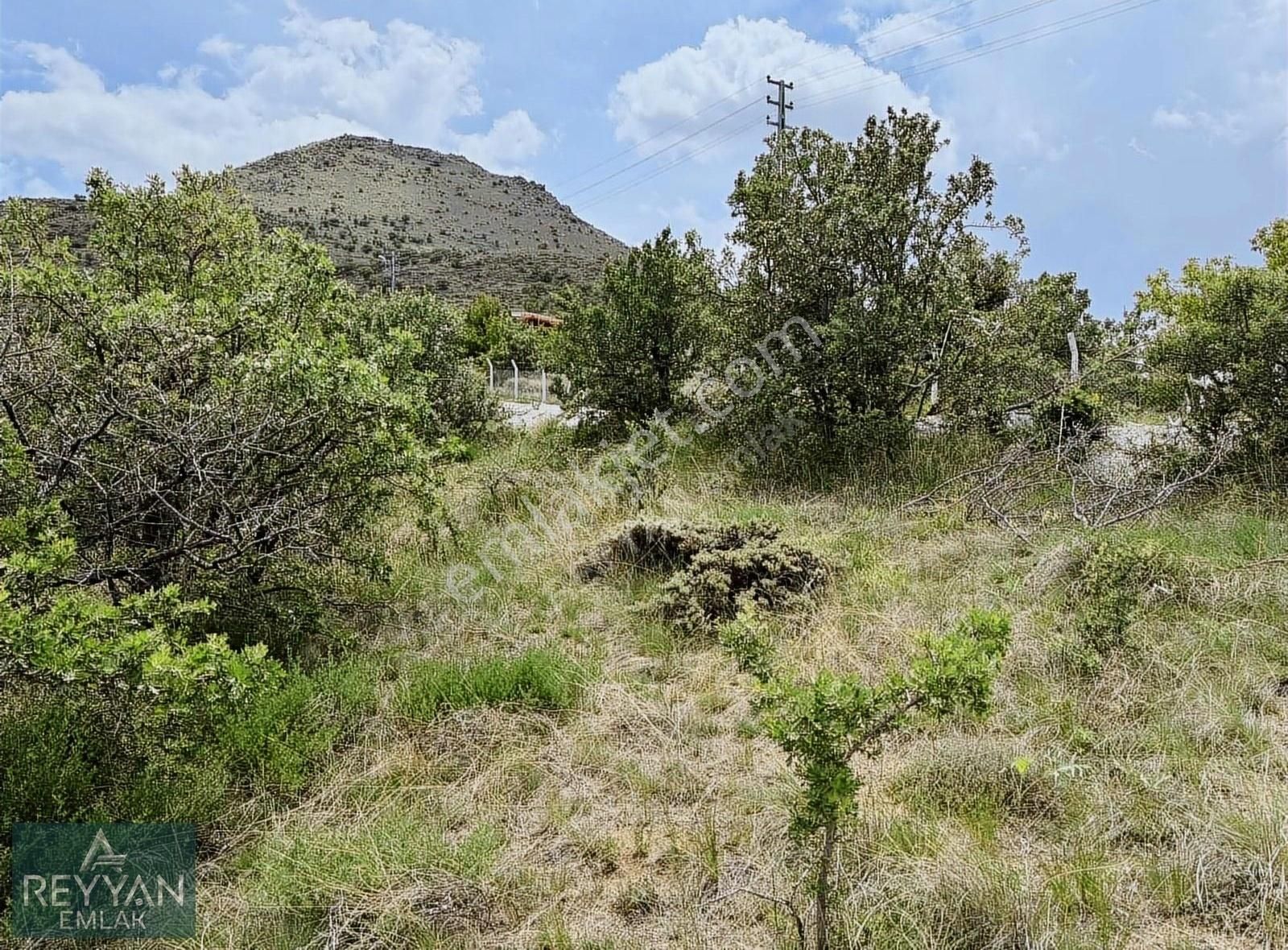 Sulutas'ta 5.777m² Müstakil Asfalt'a Cephe - Güzel Konum!! - Görsel 6