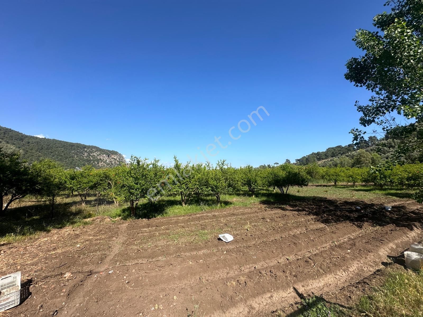 Ortaca Mergenlide Dağ Kenarında, 1 700 M2 İmarlı Kelepir Arsa Satılık - Görsel 2