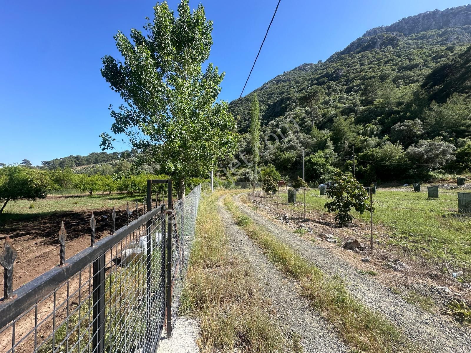 Ortaca Mergenlide Dağ Kenarında, 1 700 M2 İmarlı Kelepir Arsa Satılık - Görsel 5