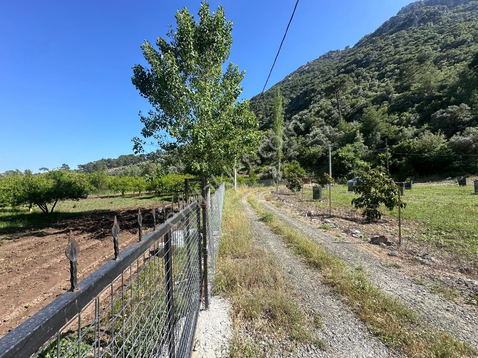 Ortaca Mergenlide Dağ Kenarında, 1 700 M2 İmarlı Kelepir Arsa Satılık - Görsel 8