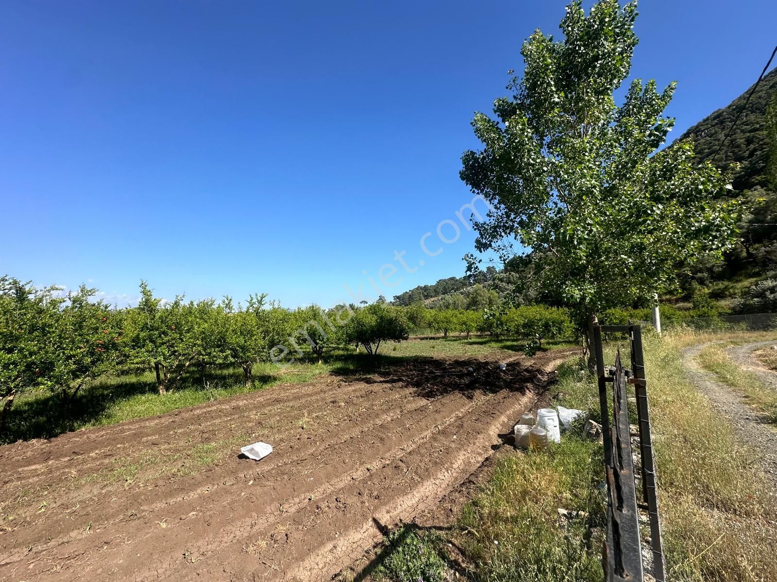 Ortaca Mergenlide Dağ Kenarında, 1 700 M2 İmarlı Kelepir Arsa Satılık - Görsel 4