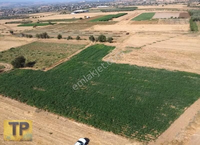 İzmir Bayındır Pınarlı Da Satılık Tarla - Görsel 9