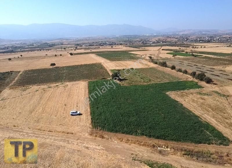 İzmir Bayındır Pınarlı Da Satılık Tarla - Görsel 4