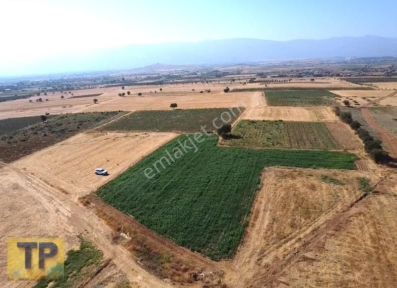 İzmir Bayındır Pınarlı Da Satılık Tarla - Görsel 12