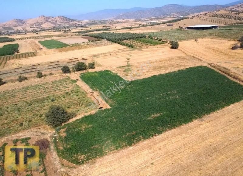 İzmir Bayındır Pınarlı Da Satılık Tarla - Görsel 11