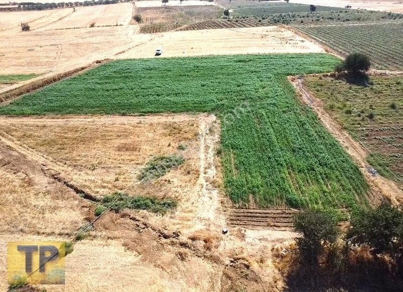 İzmir Bayındır Pınarlı Da Satılık Tarla - Görsel 7