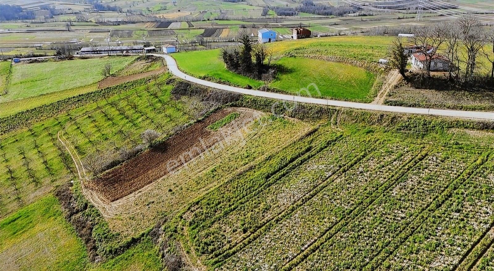 Kaynarca Eğrioğlu Mah. 3720 M2 Asfalt Kenarı Satılık Arsa - Görsel 5