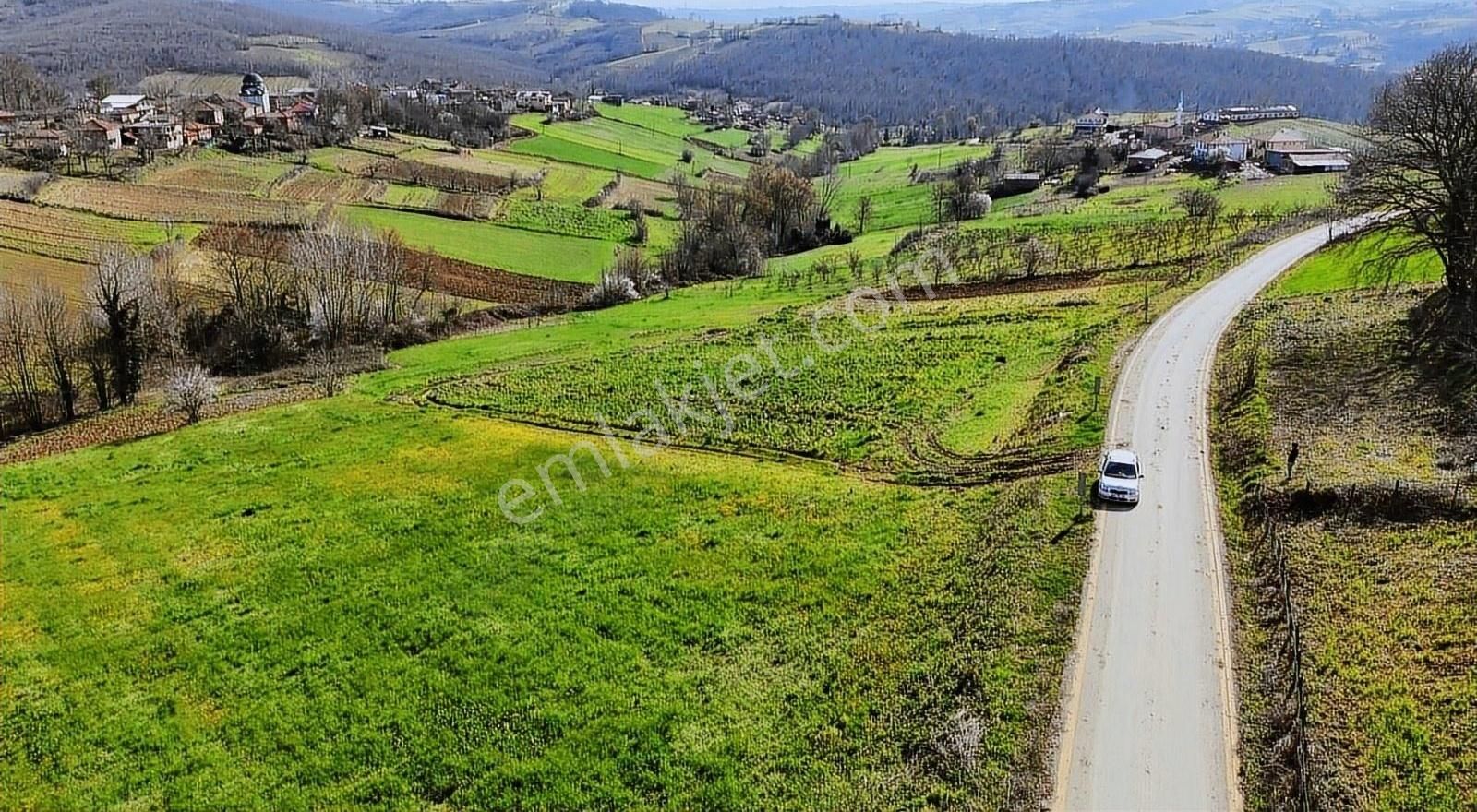 Kaynarca Eğrioğlu Mah. 3720 M2 Asfalt Kenarı Satılık Arsa