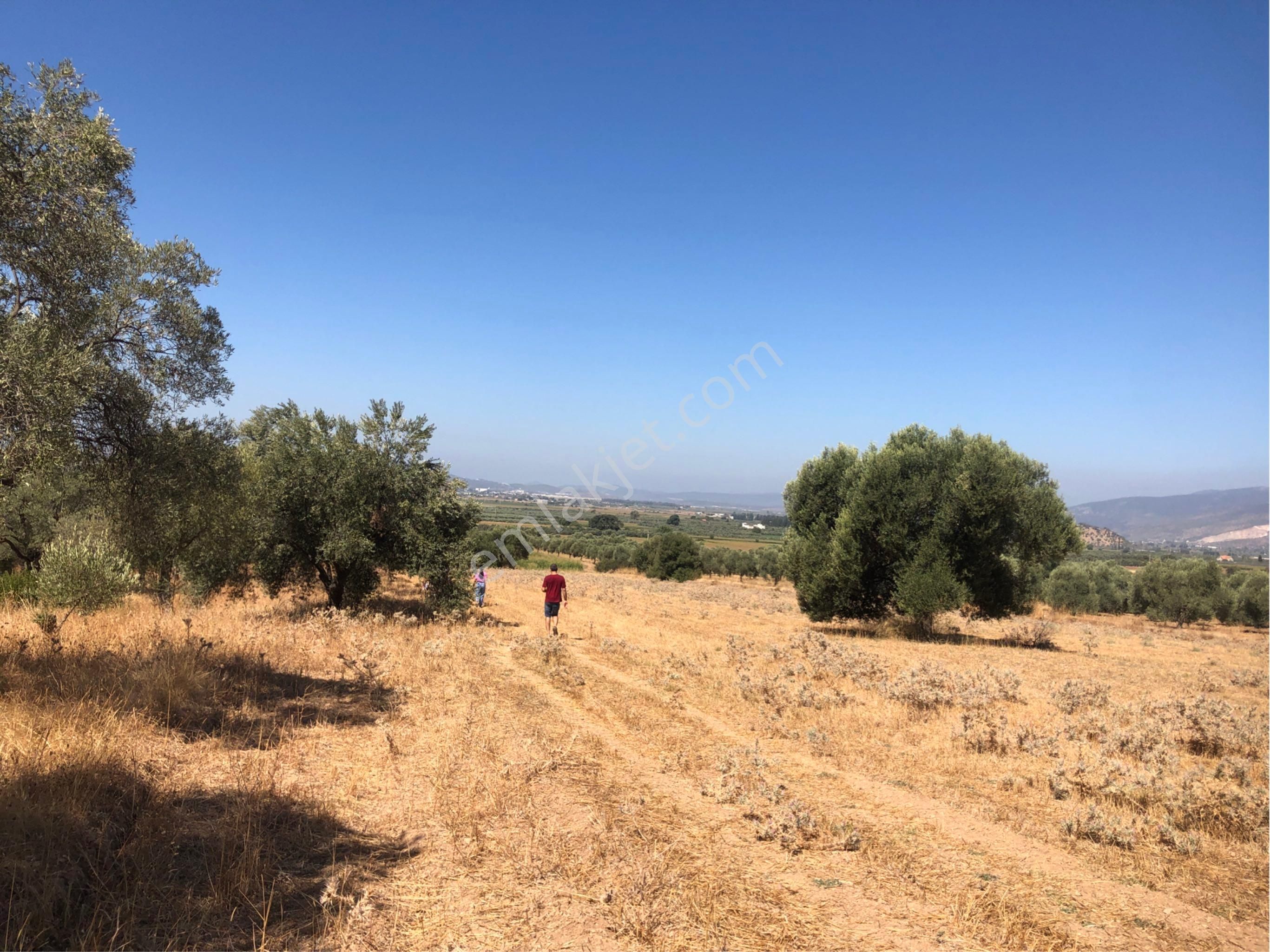 Muğla Milas Ağaçlıyük'de 12.418m² Fırsat Tarla !!! - Görsel 35