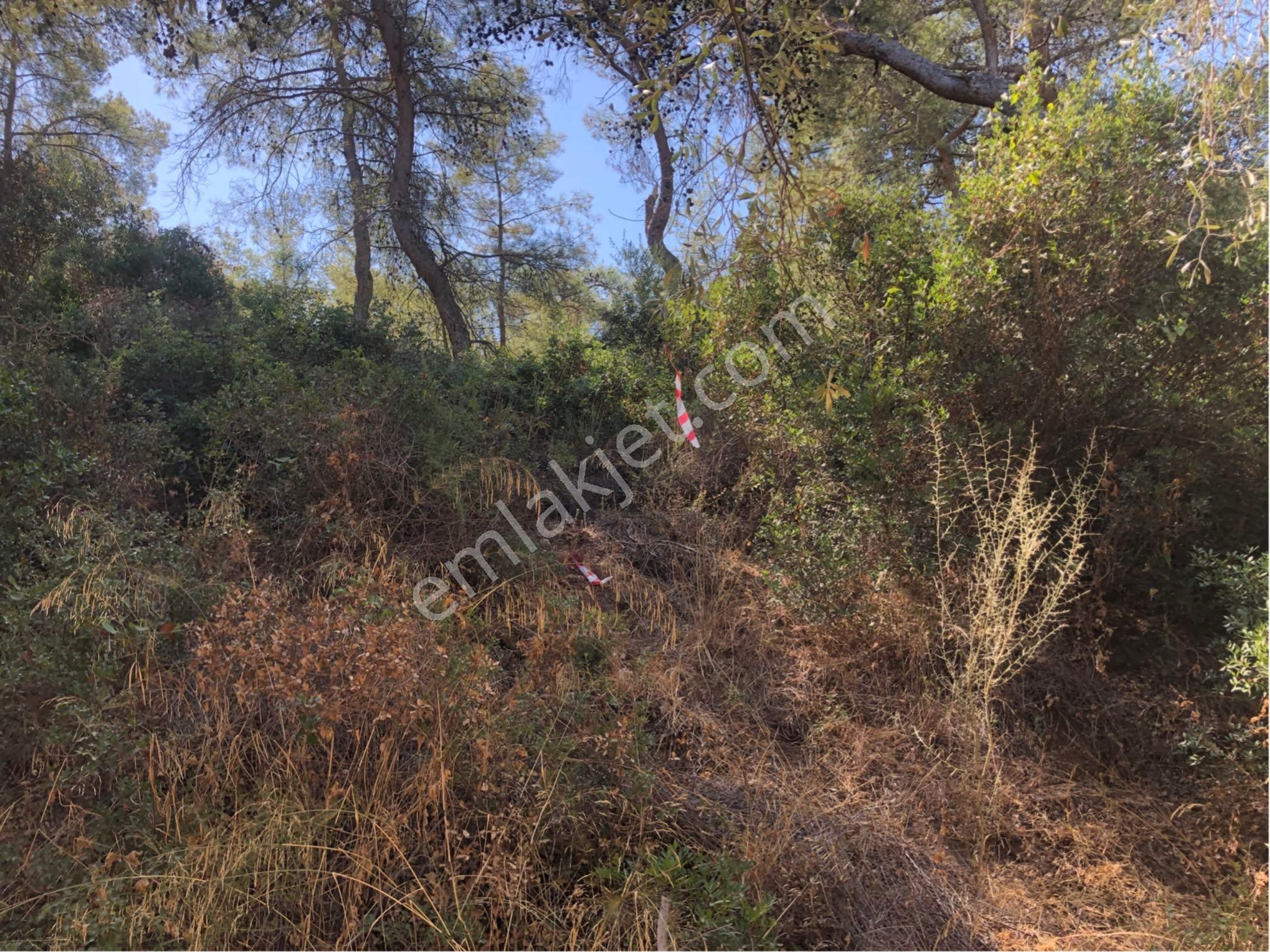 Muğla Milas Ağaçlıyük'de 12.418m² Fırsat Tarla !!! - Görsel 31
