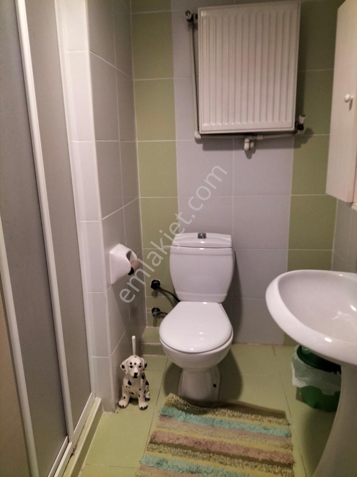 Mimaroba Daeski Çarmıklı Villalarında 250m2 Arsa İçerisinde 3 Katlı 4+1 Satılık Villa - Görsel 14