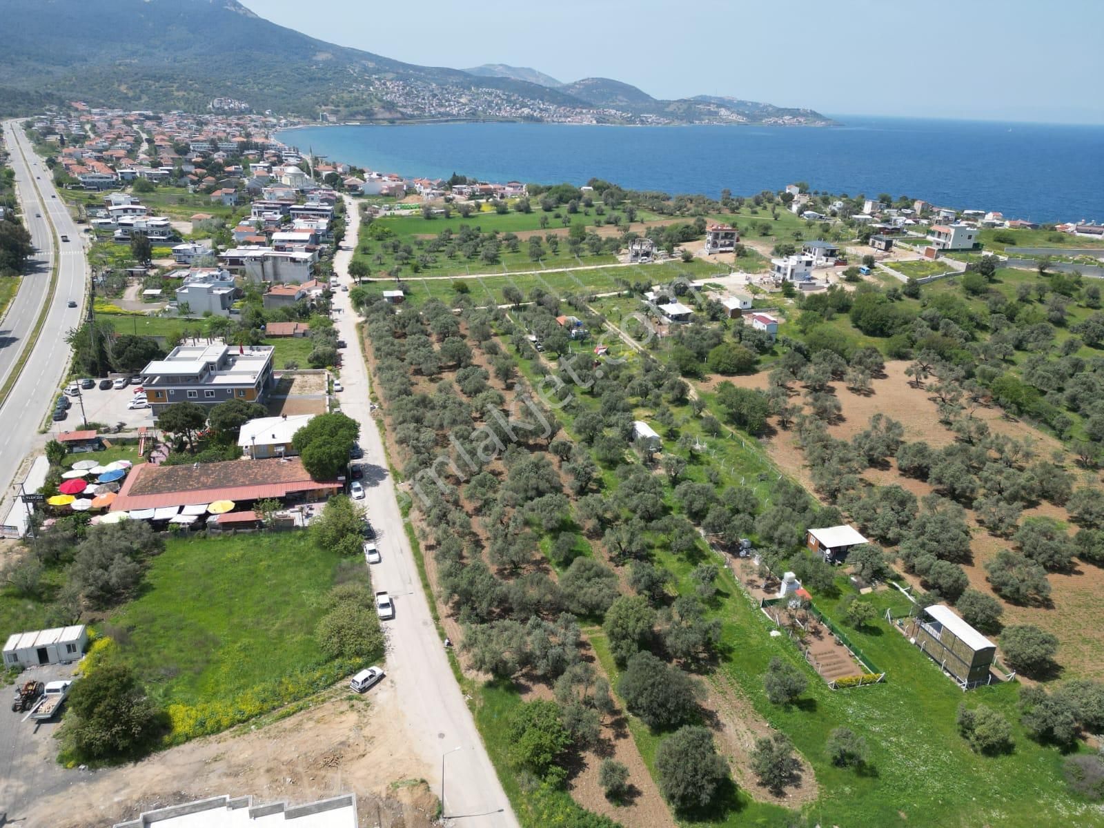Aliağa Cakmaklıda Satılık Denız Manzaralı Arsalar - Görsel 27