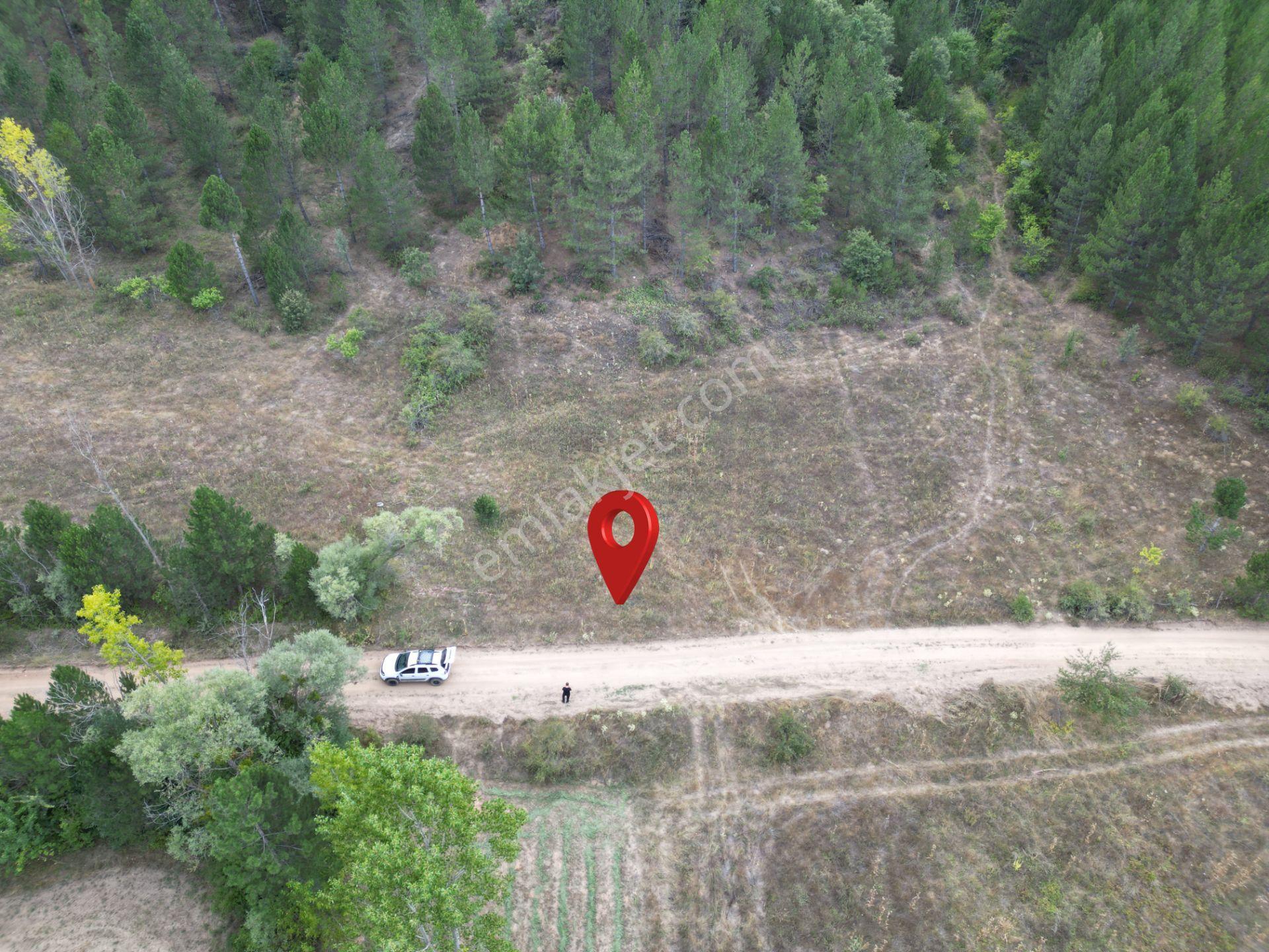 Kütahya Gediz Yağmurlar Köyü 440 M2 Satılık Yatırımlık Tarla - Görsel 4