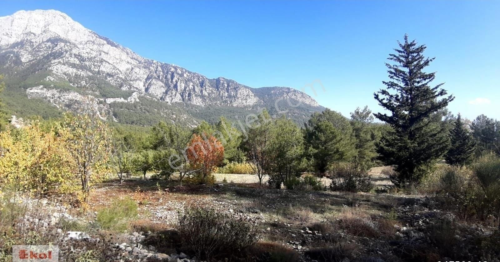 Antalya Kemer Beycik'te Satılık 6620 M2 Tarla - Görsel 4