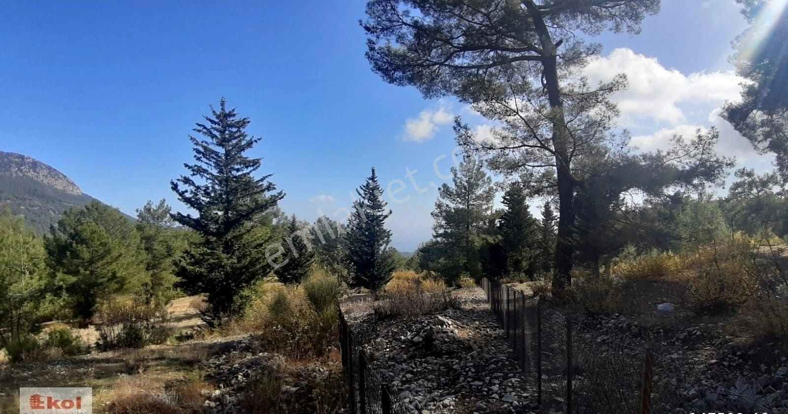 Antalya Kemer Beycik'te Satılık 6620 M2 Tarla - Görsel 3