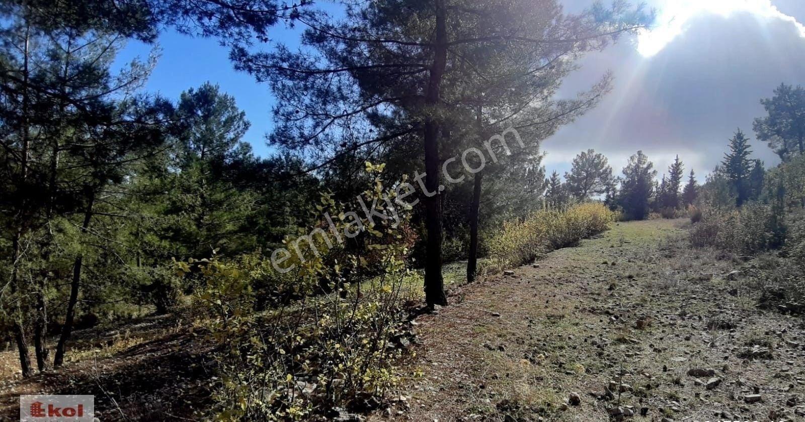 Antalya Kemer Beycik'te Satılık 6620 M2 Tarla - Görsel 7