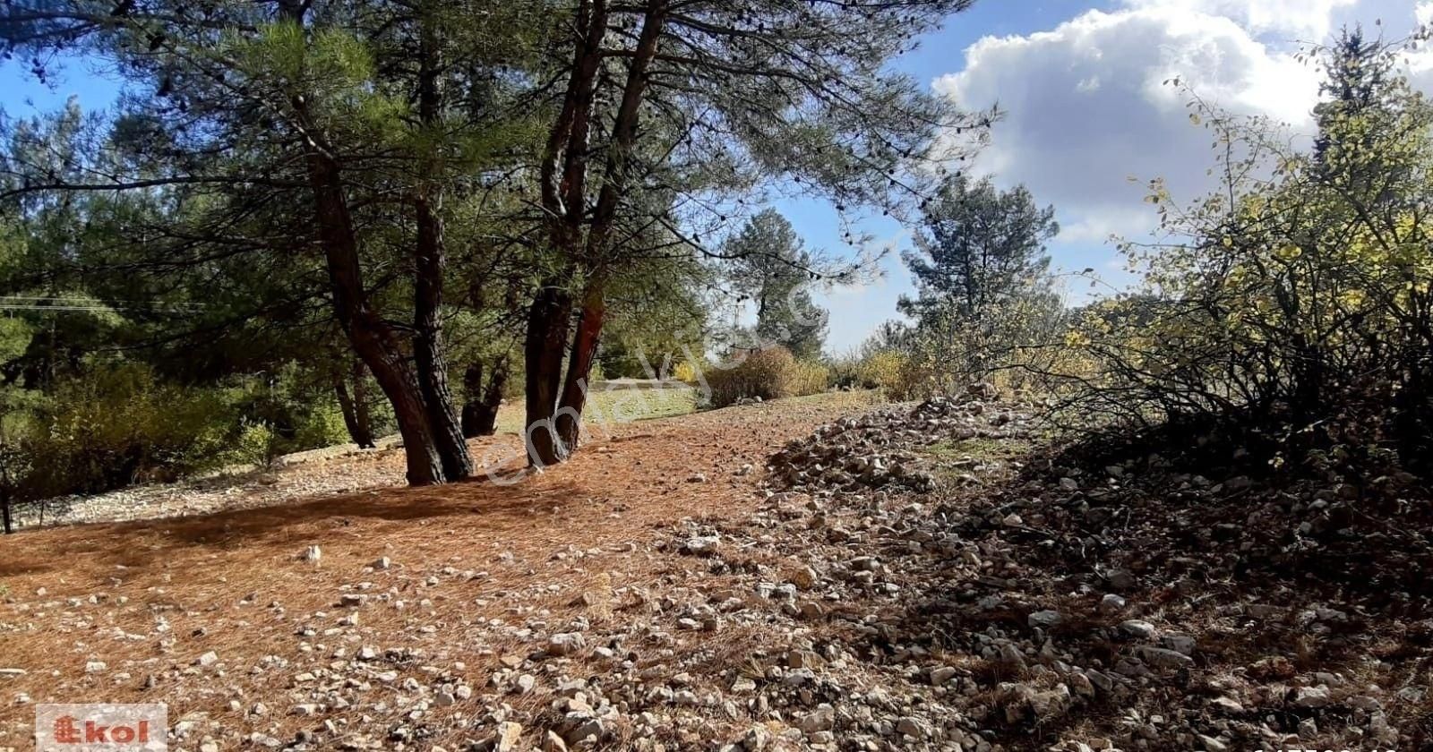 Antalya Kemer Beycik'te Satılık 6620 M2 Tarla - Görsel 5