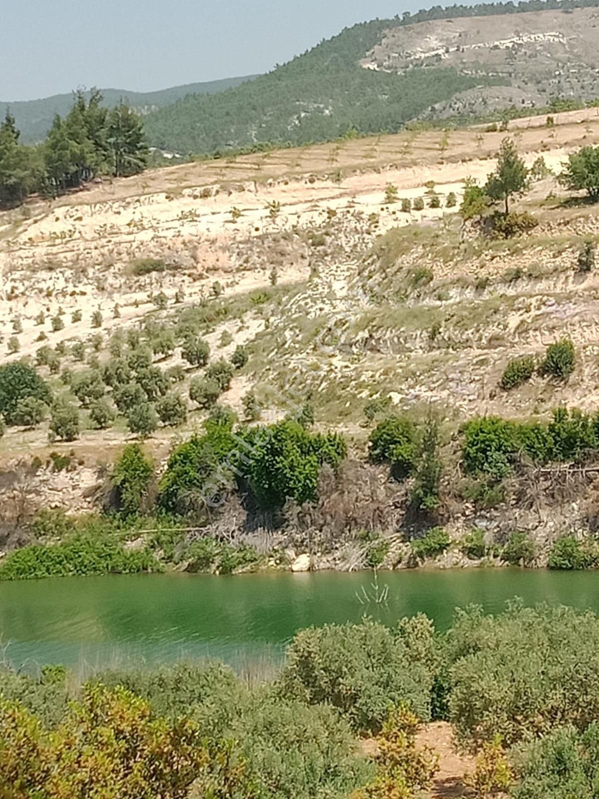 Aydın/karacasu/ Güzelköy De, Göl Manzaralı Satılık Bahçe - Görsel 6