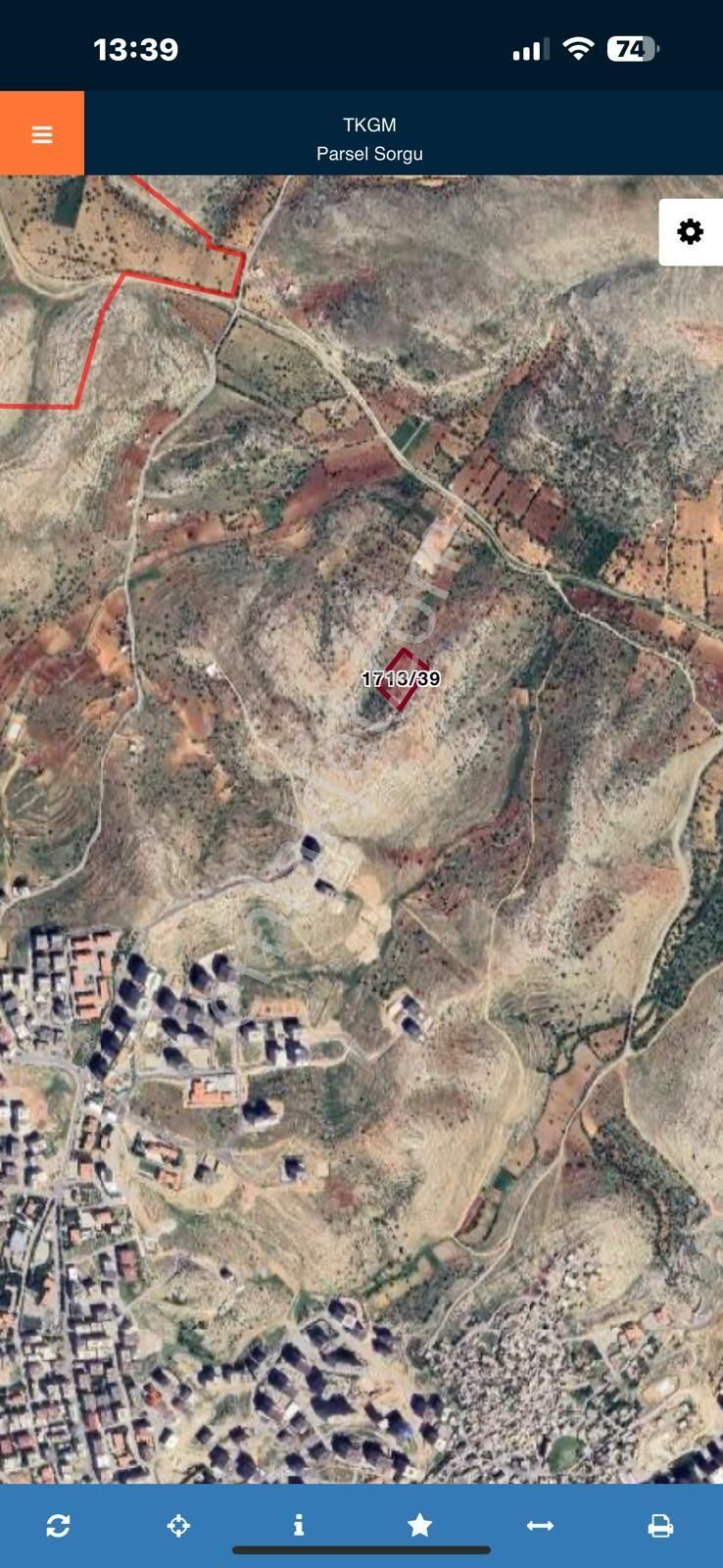 Dinç Emlaktan Satılık 8 Dölüm Bağ - Görsel 5