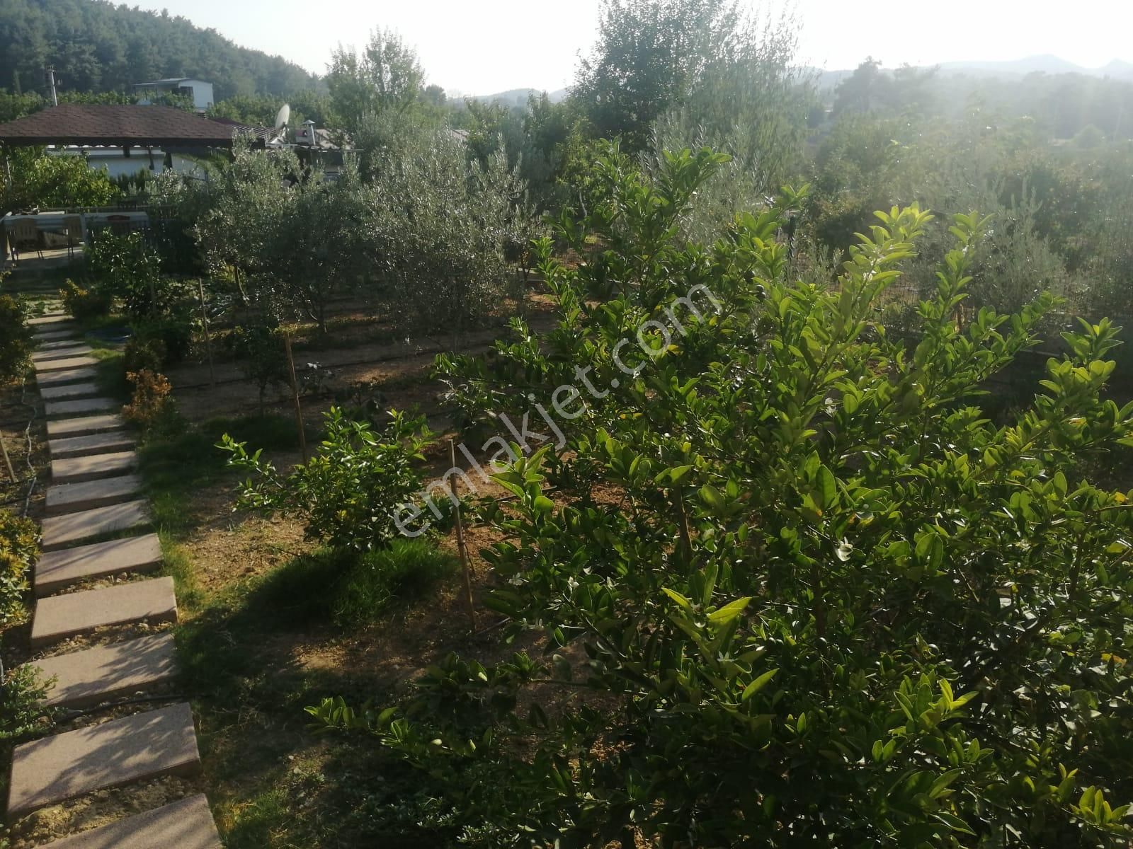 Menderes Turyap'tan Çatalca'da 583m² İçinde 2 Adet 1+1 Daire - Görsel 26