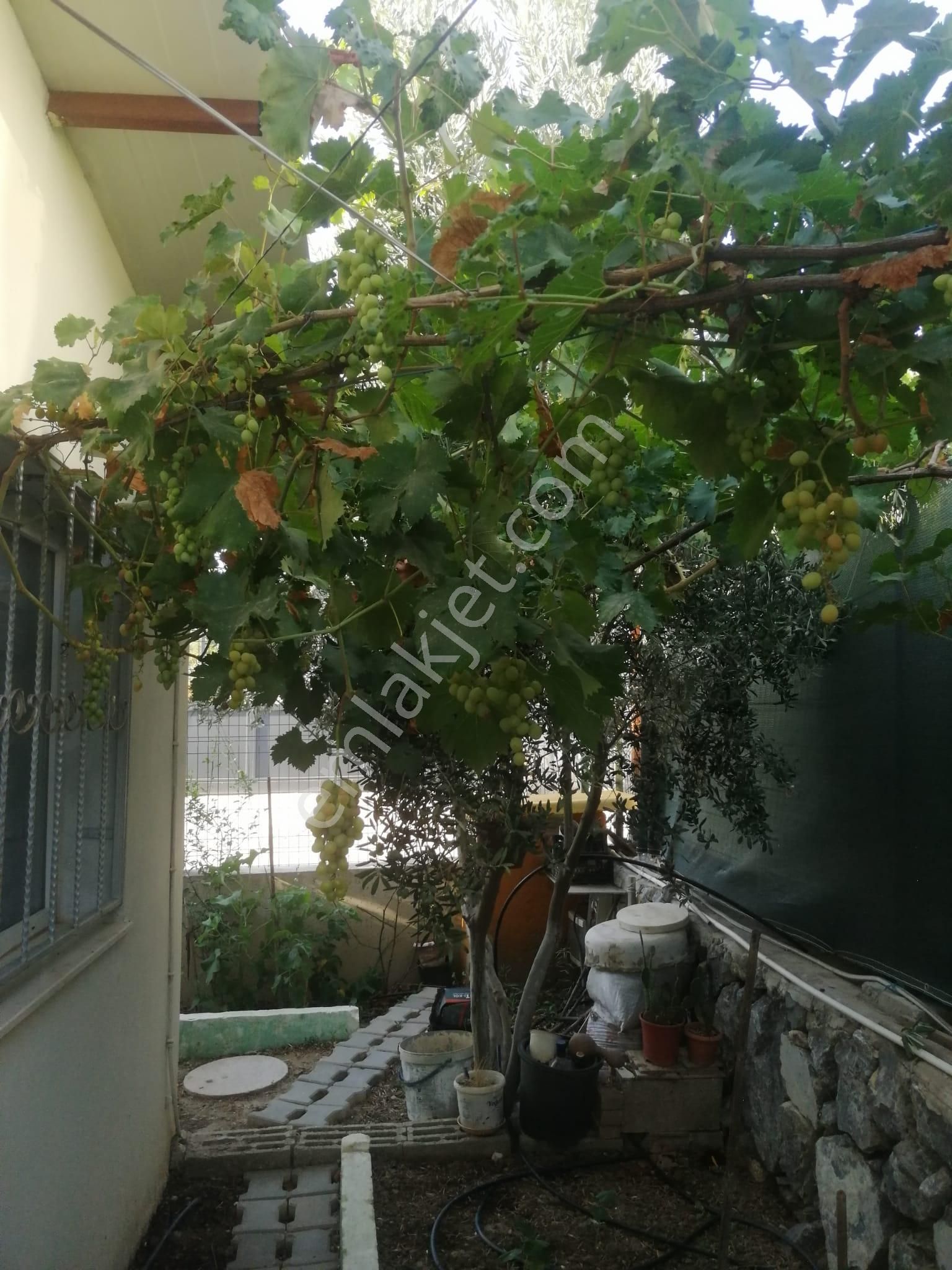 Menderes Turyap'tan Çatalca'da 583m² İçinde 2 Adet 1+1 Daire - Görsel 9