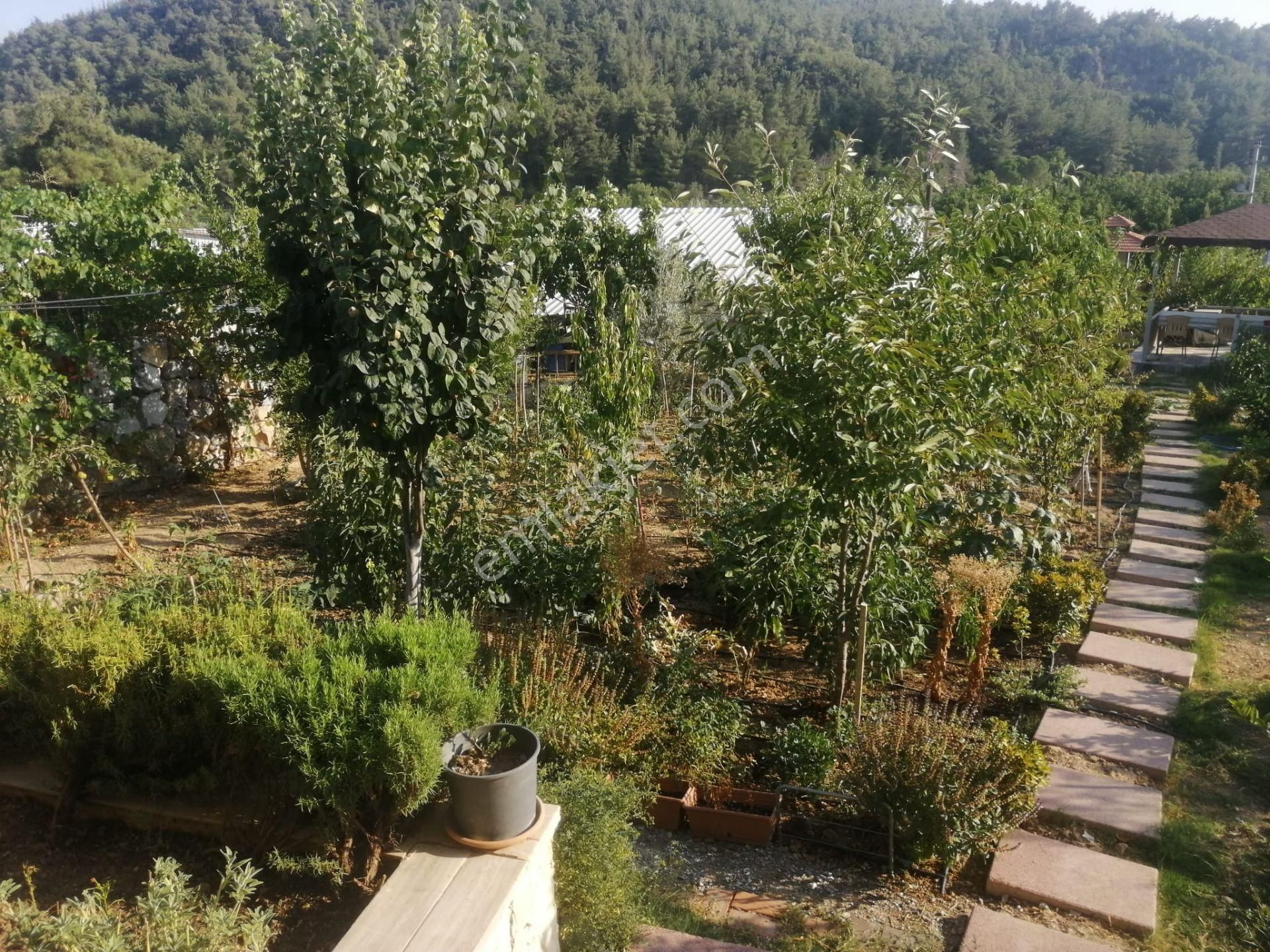 Menderes Turyap'tan Çatalca'da 583m² İçinde 2 Adet 1+1 Daire - Görsel 3