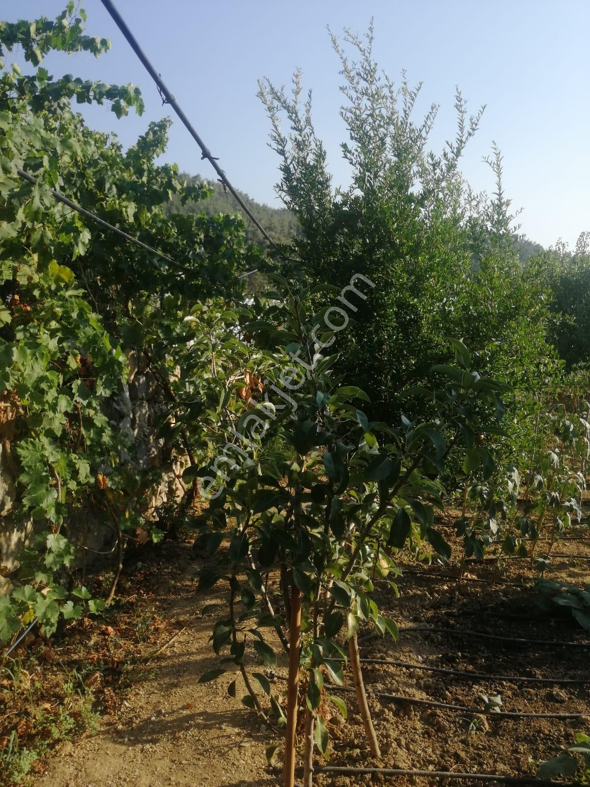 Menderes Turyap'tan Çatalca'da 583m² İçinde 2 Adet 1+1 Daire - Görsel 25