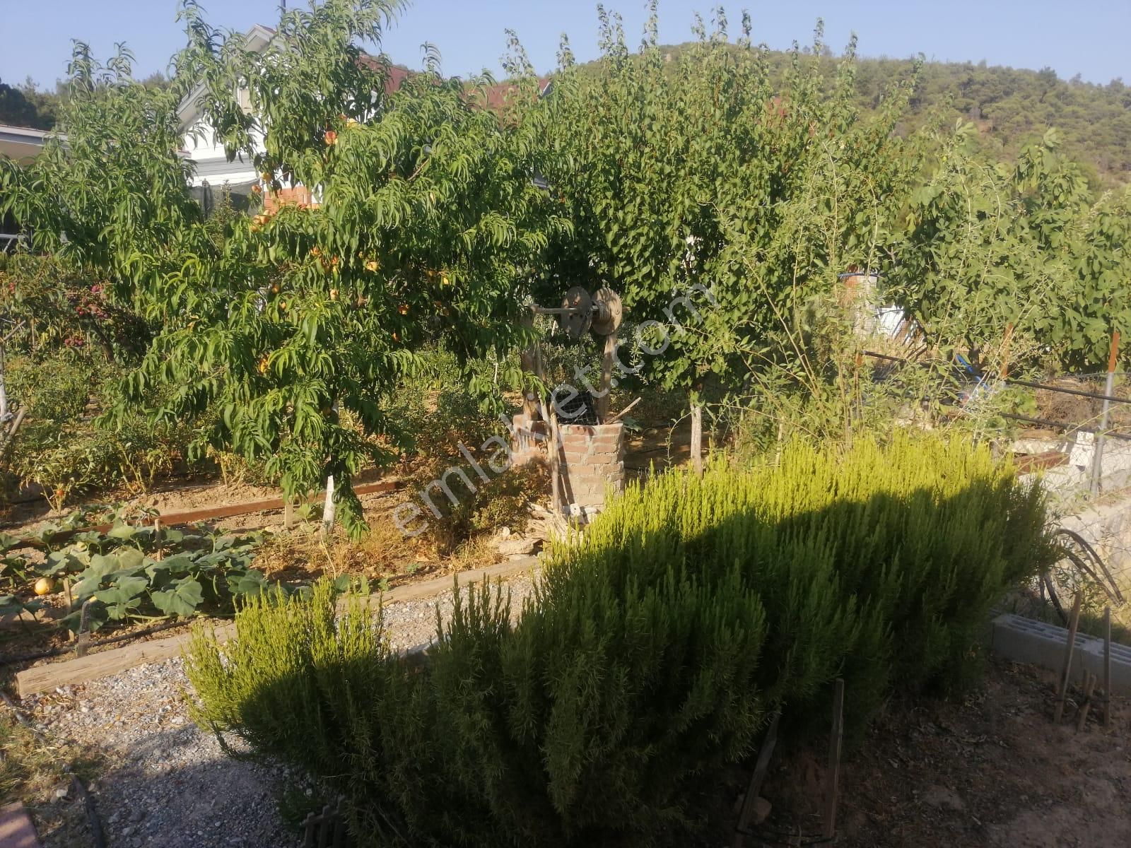 Menderes Turyap'tan Çatalca'da 583m² İçinde 2 Adet 1+1 Daire - Görsel 27