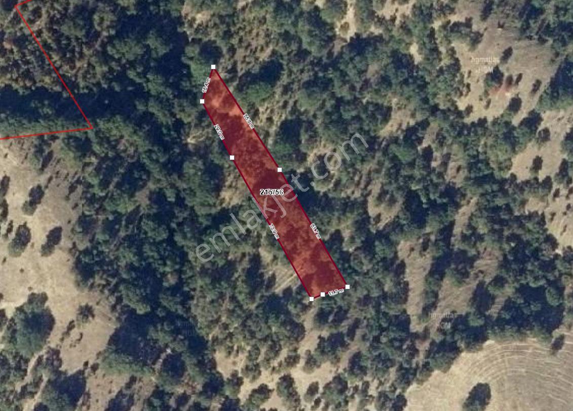 Kütahya Simav Aşağıdolaylar'da Satılık Tarla - Görsel 4