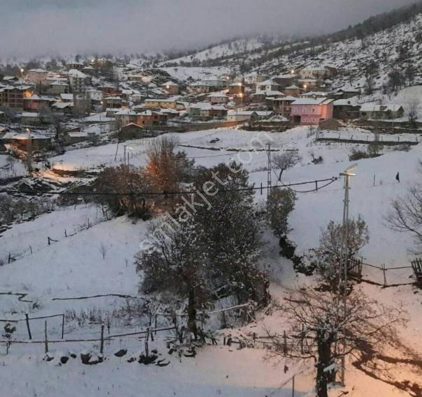 Kütahya Simav Aşağıdolaylar'da Satılık Tarla - Görsel 6