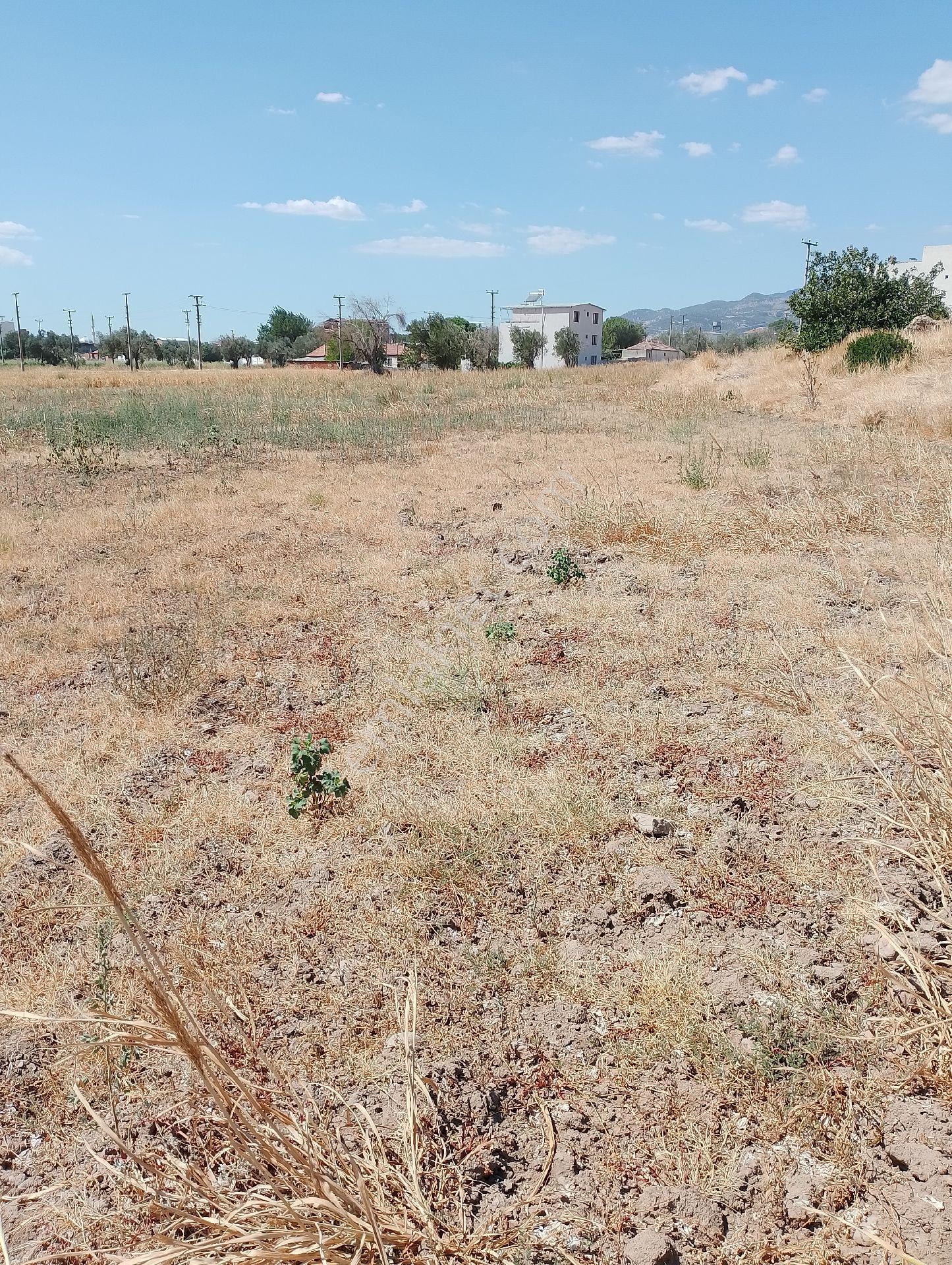Bergama Fevzipaşa Mahallesinde Yatırımlık Arsa - Görsel 3